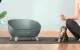 Petoneer Cozy Sofa Smart Thermo-Regulating Pet Bed