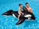 Intex Inflatable Ride-On Whale Orca 58561, 193 x 119 cm