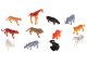 Educational Different Animals 48 pcs