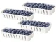 Divided Food Storage Container with Drainer and Handle, Clear