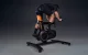 Smart Stationary Bike Cycplus T7 2200W