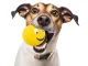 Squeaky Rubber Dog Ball Chew Toy with Funny Face, 6.5 cm
