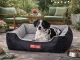 Soft Velour Dog Bed, Rectangular, 65x55 cm, Grey