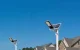 Superfire FF5-A Solar Lamp 63W 500lm 5000mAh