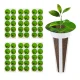 GreenBlue GB13 Indoor Plant Growing Accessories Set