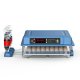 Automatic Egg Incubator for 64 Eggs with Turner