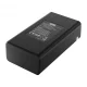 Newell SDC-USB Dual-Channel Charger for Insta360 One X3