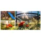 Humberg HM-613 Petrol Brushcutter Grass Trimmer 55cc + Oil