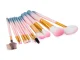 Professional Makeup Brush Set, 12 pcs, with Case, Pink/Blue