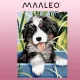 Maaleo Paint by Numbers 40x30 cm, Dog