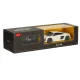 RC Car Model with Remote, Audi R8 2015 (1:24)