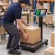 Electronic Platform Scale 200 kg, 40 x 30 cm with Post Display and Tare Function