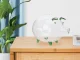 Large Clear Glass Piggy Bank for Coins and Banknotes
