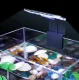 LED Aquarium Light 5W