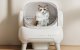 Self-Cleaning Cat Litter Box Neakasa M1 Lite 11.23L