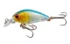 A set of 5 Fishing Lures Hard Baits in a Case