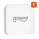 Gosund G2 Smart Bluetooth and Wi-Fi Mesh Gateway with Alarm