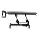 Balance Eso 1 Electric Massage and Rehabilitation Table, Grey