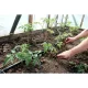 Non-Pressure Watering System KLASIKA SPIDER 4 (up to 40 Plants)