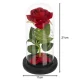 Ruhhy Eternal Rose in Glass Dome with LED Lights, 21 cm