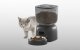 PetWant F14 Automatic Feeder Bowl Container Food Dispenser for Dogs Cats, 3L