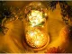 Eternal Rose in Glass Dome with LED Lighting