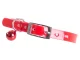 Adjustable collar for dog or cat with bell, 30cm, red/green/purple