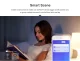 Sonoff RF R2 Smart Wi-Fi Switch with 433MHz RF Support