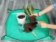 Large Plant Flower Transplanting Mat