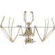 Malatec 00022005 Bat Skeleton - Halloween Decoration, 30 cm, Beige