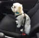 Adjustable Dog Car Seat Belt Safety Leash Xline, Black