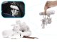 Baby Chair Carriers Cribs Pendant Toys Rattle, Animals