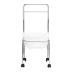Chrome Pedicure Bowl Stand on Wheels