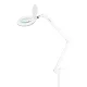Elegante 6031 Cosmetic Magnifying Lamp with Stand 3D 60 LED