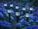 Solar LED Garden Lights with Twilight Sensor, 6 Pcs, Black