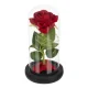 Ruhhy Eternal Rose in Glass Dome with LED Lights, 21 cm