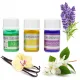 Aroma Diffuser with Essential Oils Retro Style Air Humidifier