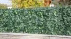 Artificial Hedge TENAX DIVY LAURUS NET, 15x3 m, Green