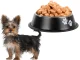 Stainless Steel Dog Bowl with Non-Slip Rubber Base 150ml