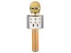 Wireless Karaoke Microphone with Bluetooth Speaker, Echo, and Voice Changer
