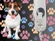 Retractable Dog Leash 5m, for Dogs up to 20kg, Black