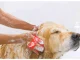 Soft Massage Brush for Dog and Cat Hair, Red