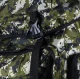 Large Military-Style Hiking Backpack, 70 L