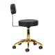 Activeshop AM-304G Cosmetic Stool with Backrest, Black/Gold