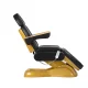 Electric Cosmetic Chair Sillon Lux 273B 3 Motors Gold Black