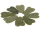 Jade Gua Sha Massage Stone for Face and Body
