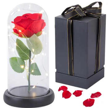 Eternal Rose in Glass Dome with Warm LED Light and Gift Box, Red