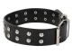 Dog Collar with Studs, Faux Leather, Adjustable, Size L