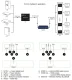 HDMI Extender over Cat5e/Cat6 up to 200m 1080P