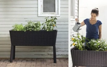 Raised Planter Tub Keter Easy Grow 114 x 49.3 x 76 cm, Anthracite Grey